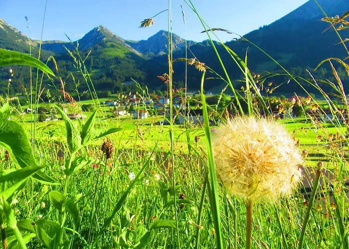 Haus Romantika * Schattwald