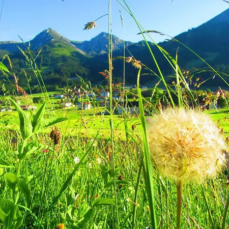 Haus Romantika * Schattwald