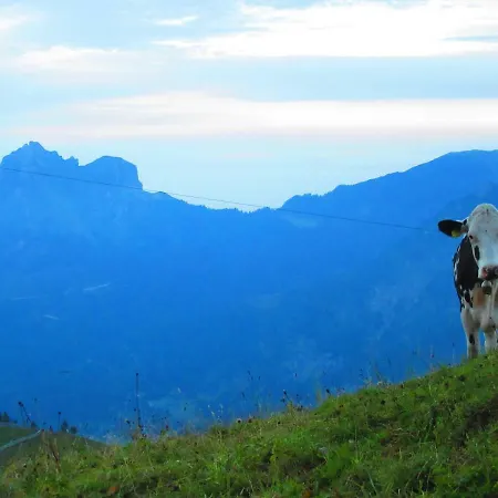 Haus Romantika * Schattwald