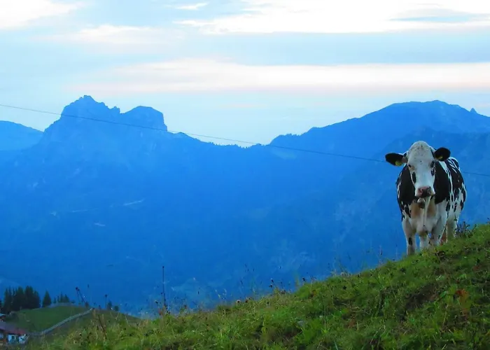 Haus Romantika * 슈아트왈드