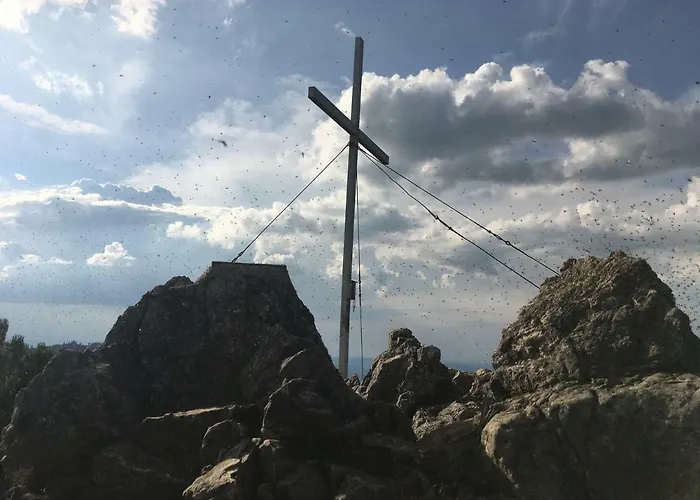 Haus Romantika 아파트 *